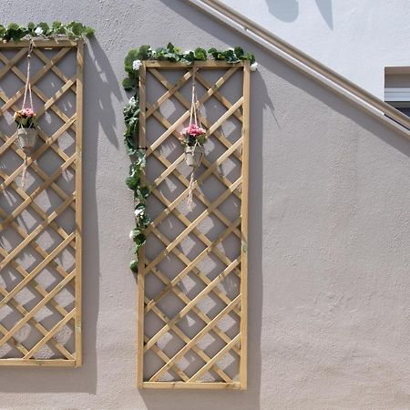Amo El Mar Hotel Sykia Chalkidikis Exterior photo